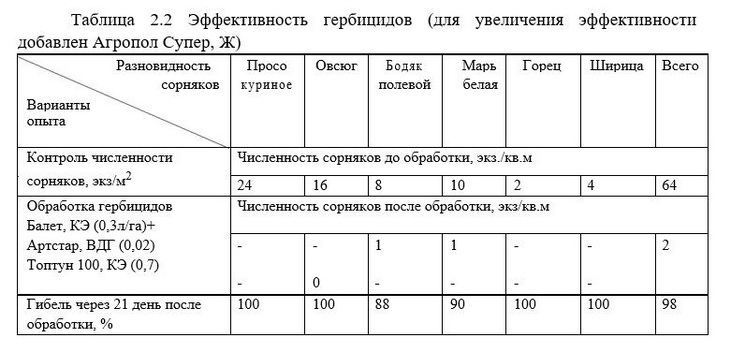 опыты Листерры на яровой пшенице