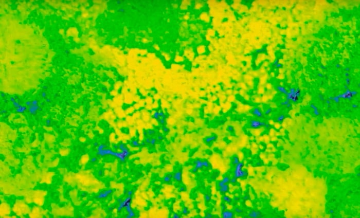 Un ejemplo de un levantamiento multiespectral de tierras de cultivo usando una cámara MicaSense