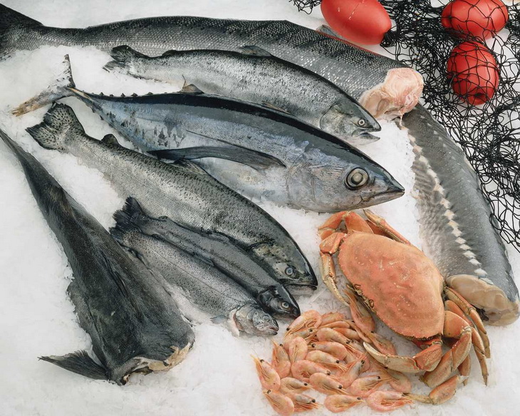 морепродукты на льду