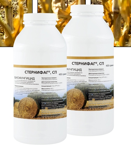 Стернифаг