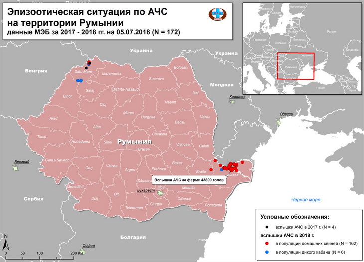 АЧС в Румынии