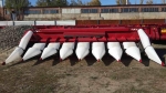 Жатки Rostselmash CornMaster8 Жатка для уборки кукурузы - фото