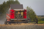 Комбайн Massey Ferguson MF7347S ACTIVA - фото