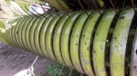 Пресс-подборщики Claas Rollant 44 - фото