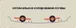 Посевные комплексы Прочее... Посевной комплекс Яр-6 - фото