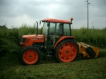 Мульчировщик Berti TSB 250 - фото