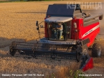 Зерноуборочные комбайны Massey Ferguson MF7347S ACTIVA - фото