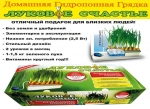 Луковое Счастье гидропоника для выращивания пера зёлёного лука дома на подоконнике - фото