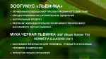 Зоогумус «Львинка» Почвенный кондиционер пролонгированного действия