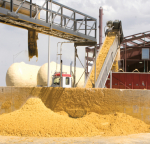 DDGS port Astrakhan Russia price