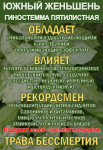 Фиточай Джиаогулан. Гиностемма пятилистная. Южный женьшень. - фото