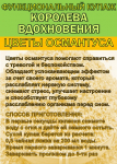 Функциональный купаж «Королева Вдохновения». Зелёный чай №95 и цветы Османтуса - фото