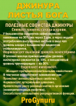 Фиточай Джинура Прокумбенс. Гинура. Сушёный лист. - фото