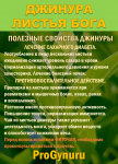 Фиточай Джинура Прокумбенс. Гинура. Сушёный лист. - фото