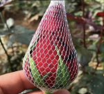 Сетка для бутонов цветов защитная опт