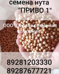 Семена нута Приво 1,    Волжанин 50 ЭС.