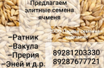 Семена ячменя ярового Космос,  Вакула,  Эней
