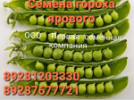 Семена гороха Болдор, Камелеон, Мадонна,