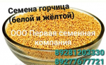 Семена горчицы  Виктория, Жемчужина, Пантера