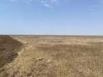 продам участок 1 Га г.Саки , Крым - фото