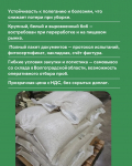 Семена фасоли сорта 'Маркиза' РС1 - фото