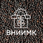 Семена рапса ярового ВНИИМК сорт Баланс