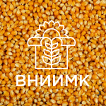 Семена гибридов кукурузы