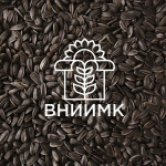 Семена подсолнечника ВНИИМК гибрид Протектор