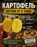 Картофель оптом - сорта прайм и примабель