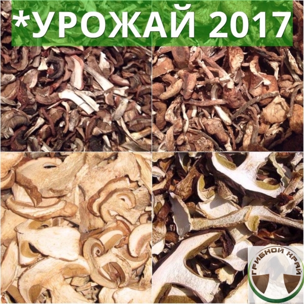 Сушеные Опята Фото Сушеные Опята Фото
