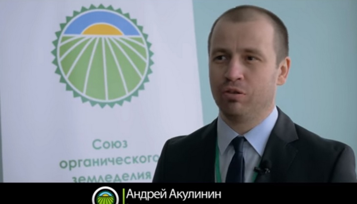 Акулинин