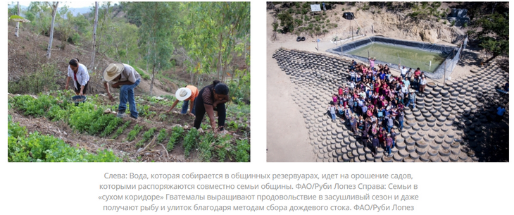 аквакультура в Гватемале