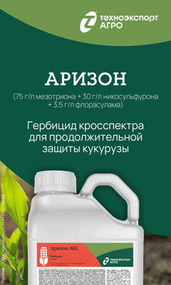 Техноэкспорт 202506b9