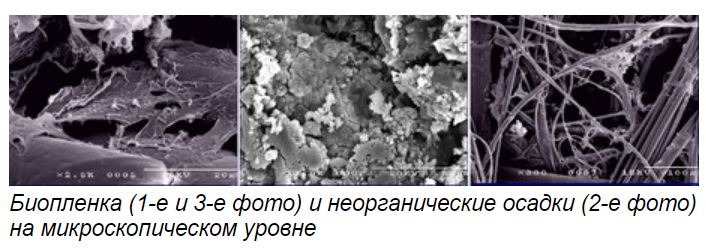 биопленка в поливной системе