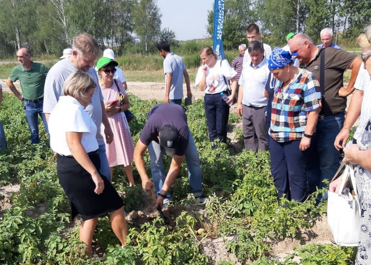 день овощного поля владимирская область