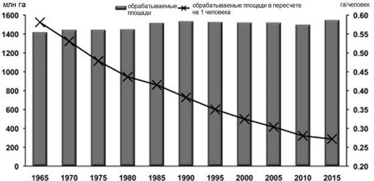 Обрабатываемая площадь по всему миру и на человека