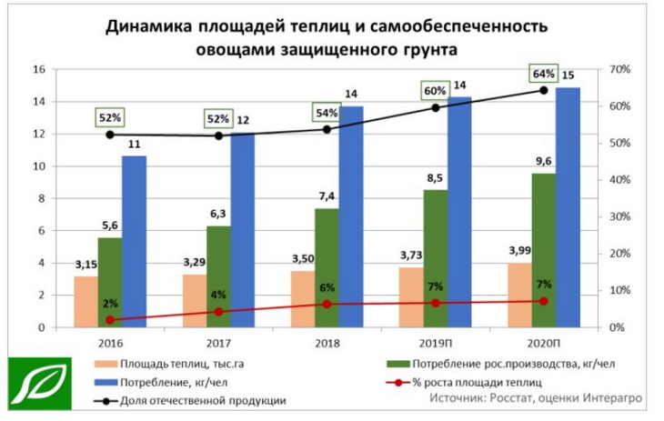 динамика рынка тепличных овощей в РФ