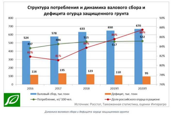 тепличные огурцы