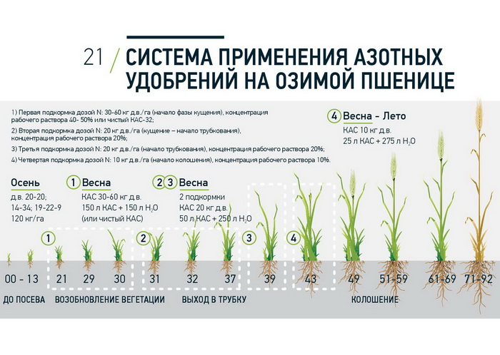 Схема питания еврохим
