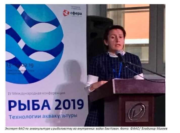 Ева Ковач