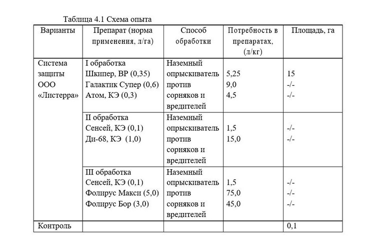фолирус на рапсе