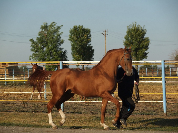 foto-brenda-s-vyvodki(1).jpg