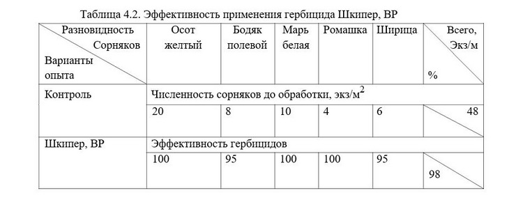 гербицид шкипер на рапсе