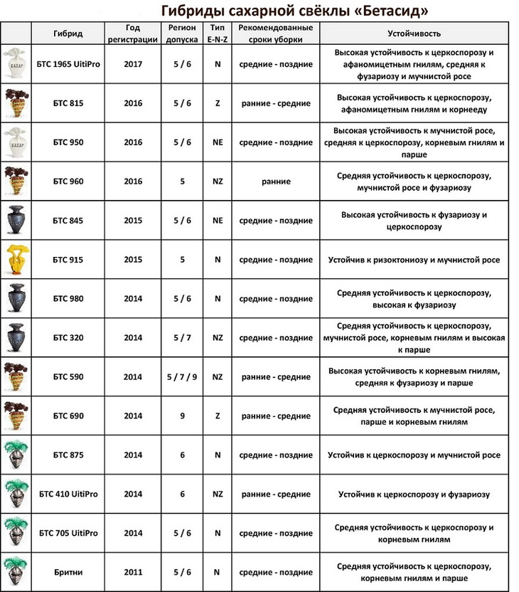 гибриды свеклы Бетасид