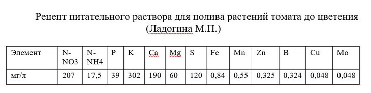гидропонные томаты