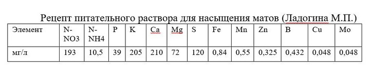 гидропонные томаты на матах