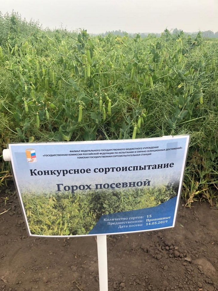 российские агрокультуры