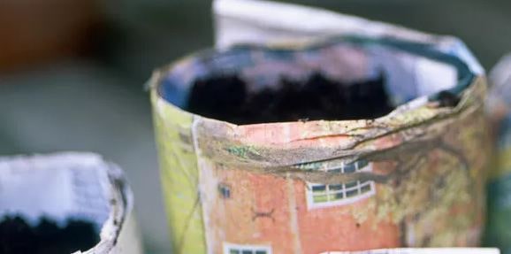 горшок для рассады из газеты как сделать