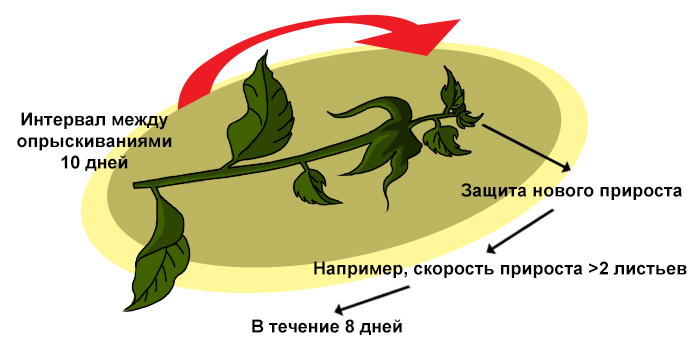 Трифлоксистробин (Зато) - Защита нового прироста благодаря эффекту</p> мезостемного перераспределения