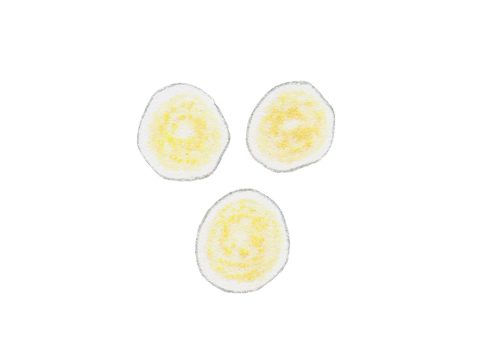 Puccinia triticina что это. Смотреть фото Puccinia triticina что это. Смотреть картинку Puccinia triticina что это. Картинка про Puccinia triticina что это. Фото Puccinia triticina что это